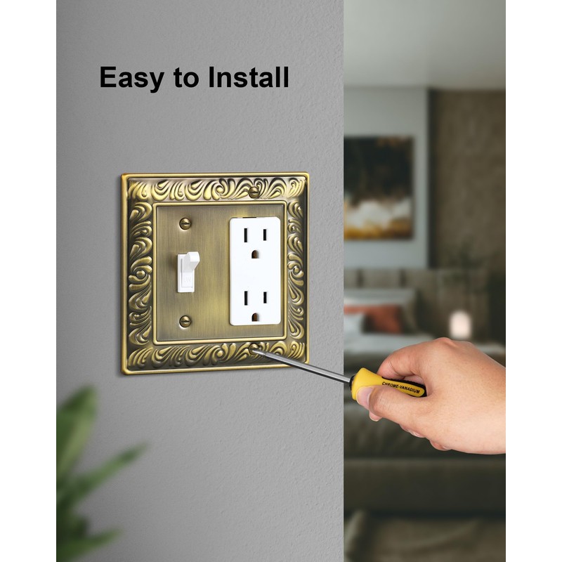 2-Pack Combo Toggle/Decorator Light Switch Cover Plate, Paisley Pattern Decorative