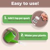 Root Supplement for Fiddle Leaf Figs, Stimulate and Propagate Healthy
