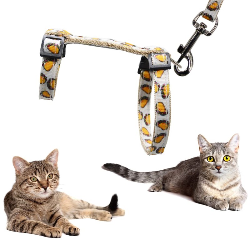 Cat Harness and Leash Set Escape Proof Soft Nylon Adjustable