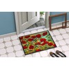 Caroline's Treasures PPD3020JMAT Poppy Garden Flowers Doormat 24x36 Front Door