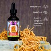 Dragon Herbs - Cultured Cordyceps Drops - 2 fl oz
