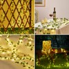 KAiSnova Solar Vine String Lights Outdoor, 33FT 100LED Warm White