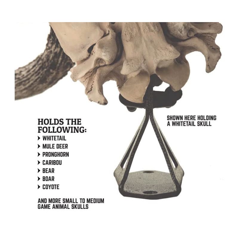 Wicked North Hang Up European Adjustable Mounting Bracket