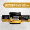 VitaUp Himalayan Shilajit Gummies for Men & Women - Pure