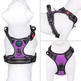PHOEPET No Pull Dog Harness, Adjustable Dog Vest Harness for Daily Walks, with Buckle on the Neck and Reflective Strips, Control Handle for Medium and Large Dogs (Purple, XL)