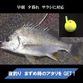 ASPALAND Cone Float Sea Bream, Chinu, Ukifukase, Fishing, 3B, Acorn, Float Through (Yellow 3B, Set of 2)