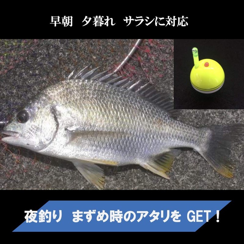 ASPALAND Cone Float Sea Bream, Chinu, Ukifukase, Fishing, 3B, Acorn,