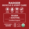 Badger Balm Badger Balm Organic Sore Muscle Rub Original Balm