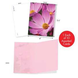 The Best Card Company - 10 Flower All Occasion Blank Cards (4 x 5.12 Inch) - Boxed Cards with Envelopes - Cosmos-Politan M6029