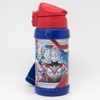 Ultra Heroes Direct Stainless Steel Bottle SBR 600D