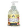 Nature's Oil Foaming Hand Soap, Lemon Sugar, 10 Fluid Ounces