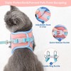 SlowTon Cat Harness Leash Set, Stylish Adjustable Breathable Escape Proof