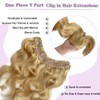 Balayage Clip in Human Hair Extensions 14" Invisible Curly One