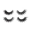 2 Pairs Cat Eye False Eyelashes, Wispy Cluster Lashes, Natural