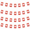 WXTWK Switzerland Flags Swiss Small Mini Pennant String Banner Flag