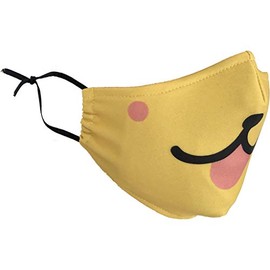 Stay Safe Reusable Face Mask Washable Mouth and Nose Protector Breathable Anti Smoke Dirty Bike Motorcycle Sports, Fun