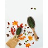 Casalfe Wooden Oval Boar Bristle Hair Brush