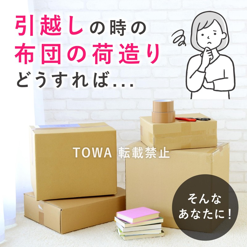 Towa Industries Moving Comforter Bag, Moving Boy, Approx. 39.4 x