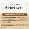 オーガランド ギムネマ 粉末 パウダー 100g インド産 無添加 ギムネマ酸 グルマール ギムネマシルベスタ