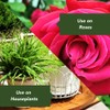 BioAdvanced All-in-One Rose and Flower Spray, Fertilizer, Insect Killer and