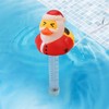 Pool Temperature Meter Floating Easy Read - Easy Read Duck