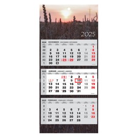 JAROGRAF Wall Calendar 2025 - 3-Month Calendar with Practical Wall Planner for Efficient Year Planning, Holidays, School Holidays and Important Dates (Field) Three-Month Calendar