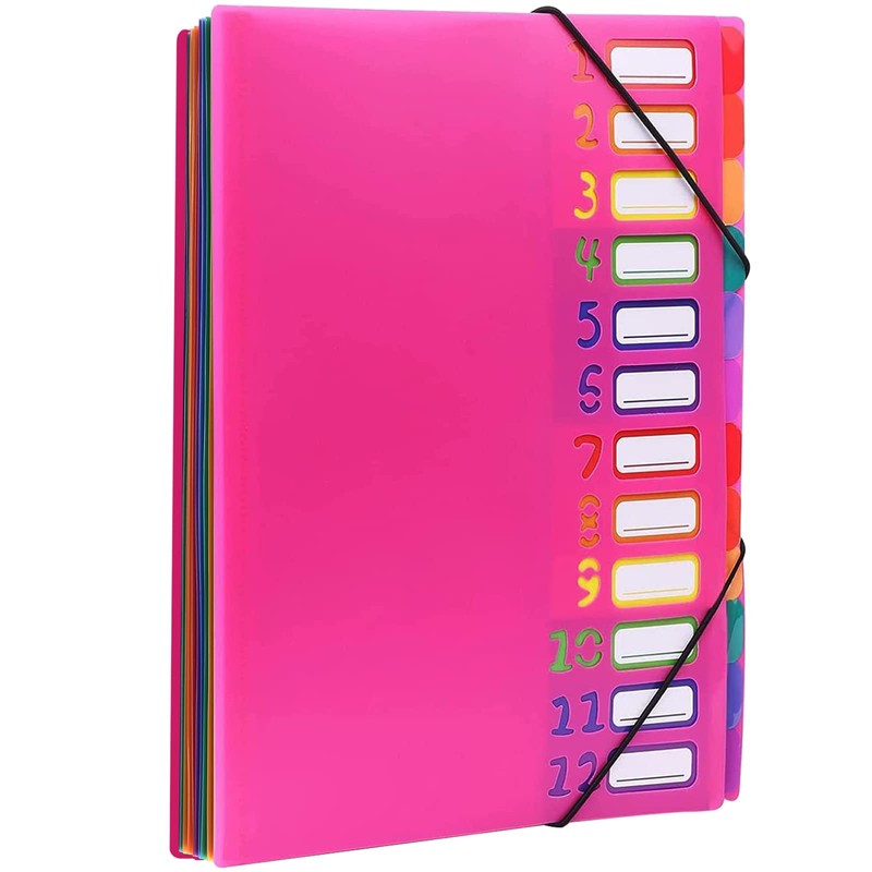 Expanding File Folder Project Folder A4 Organiser Desk Folder 12
