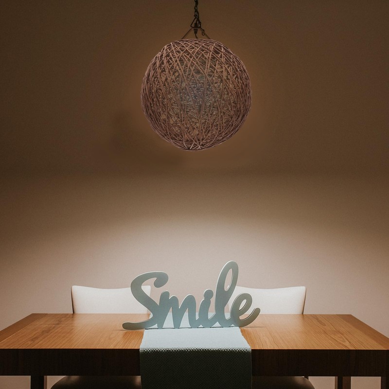 Handmade Rattan Lamp Ceiling Light Woven Table Light Home Bedroom