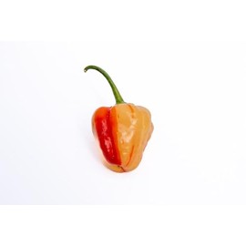 Peppapeach Stripey Malawi Piquante Pepperdew Heirloom Pepper Premium Seeds for Planting Packet