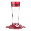 More Birds Bird Health+ Ruby Hummingbird Feeder, Glass Hummingbird Feeders