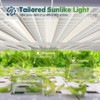 FREELICHT 1 Pack 4ft LED Grow Light with Timer, 60W