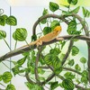 QUOZUO Reptile Tank Accessories Plants Vines and Flexible Reptile Artificial