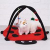 Foldable Cat Activity Play Mat Tent Multifunction Pet Bed with