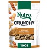 Nutro Crunchy Dog Treats with Real Peanut Butter, 10 oz.