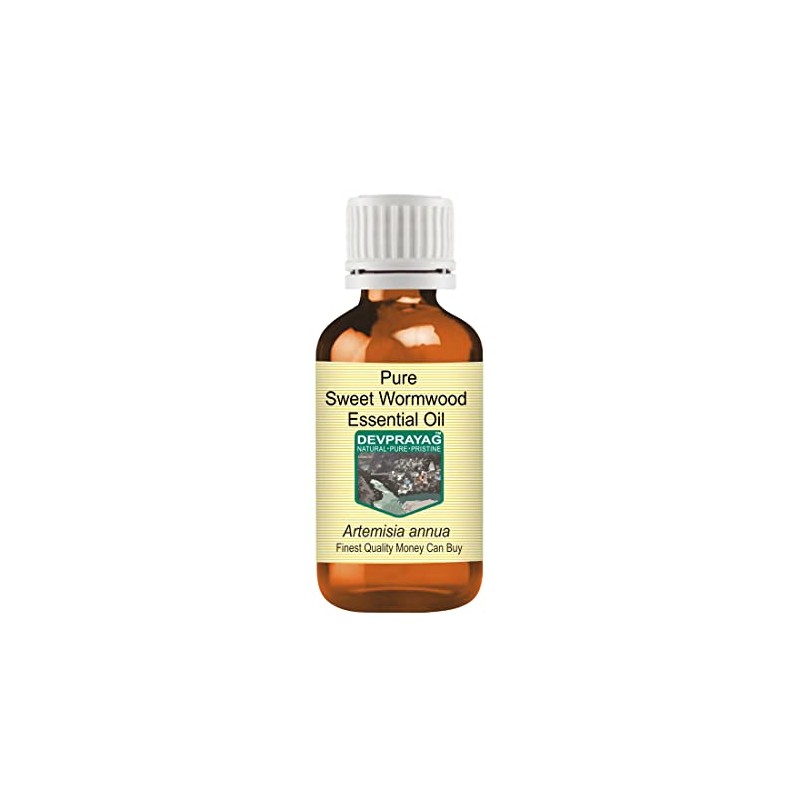 Devprayag Pure Sweet Wormwood Essential Oil (Artemisia annua) Natural Therapeutic