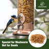 Kingsyard Upgraded Bluebird Feeder for Outdoors Hanging, Metal Mealworm Tube