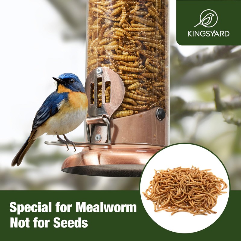 Kingsyard Upgraded Bluebird Feeder for Outdoors Hanging, Metal Mealworm Tube