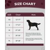 FAYOGOO Dog Harness Medium, No Pull Vest Harness with 2