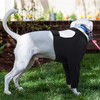 Kuoser Dog surgery Recovery Suit, Dog Recovery Suit Female, Dog
