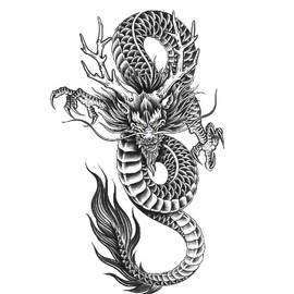 Dragon Tattoo Dragon Tattoos Fake Tattoos Arm Tattoos Men Tattoos Dragon 6