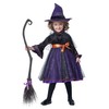 Toddler Hocus Pocus Witch Costume Size 4/6