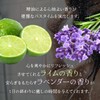 Natural Ingredients 96% superfood lab 【 Scalp 】 Essence 【