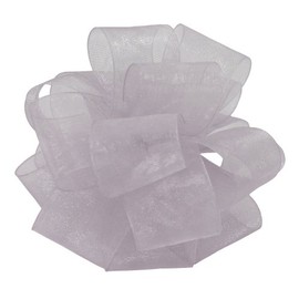 Offray Monofilament Edge Simply Sheer Asiana Craft Ribbon, 5/8-Inch Wide by 25-Yard Spool, Silver