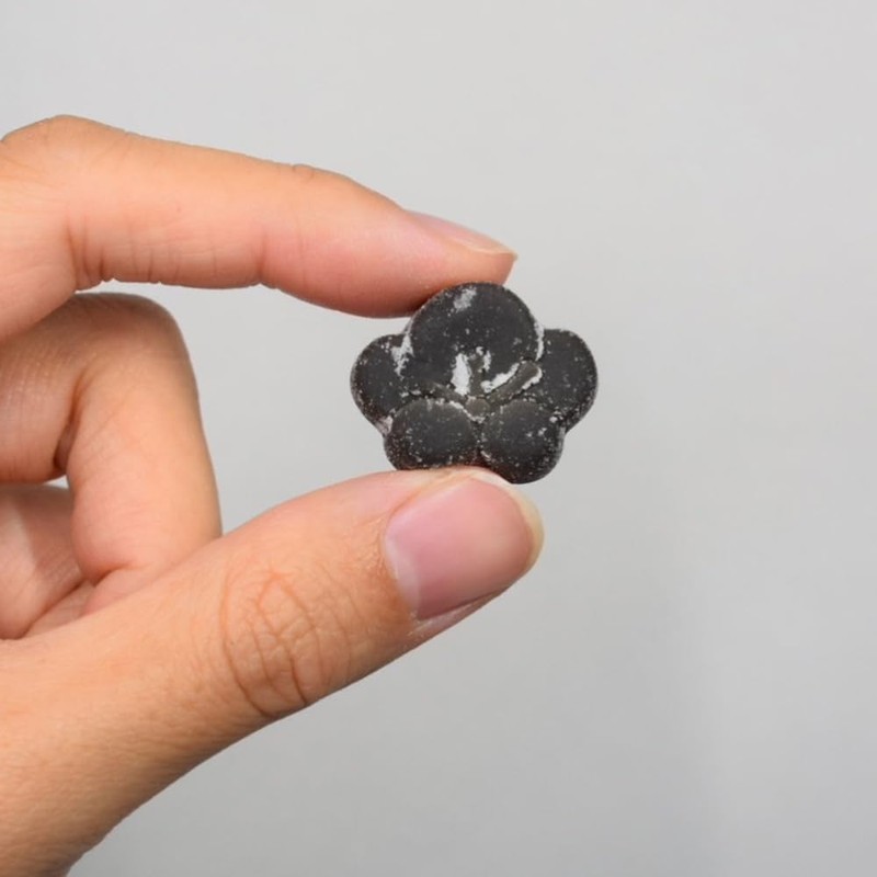 (Plum Meat Extract) Plum Extract Gummy | Nanko Plum from