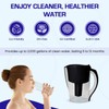 Crystal Quest Water Filter Pitcher - 12-Cup Capacity, Includes 1