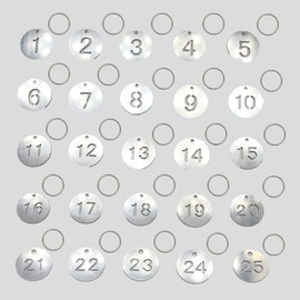 Stainless Steel Numbered Tags Metal Round Numbered Tags ID Tags Key Tags with Key Rings(1-25)