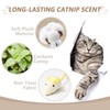 ASIRYVA 6 Pack Catnip Mouse Toys for Indoor Cats, Catnip