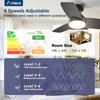 Amico Ceiling Fans with Lights, 30 inch Low Profile Ceiling