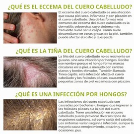 Rida Hair Research Institute Champú Antifúngico Foliculitis Para Dermatitis Seborreica, Psoriasis Del Cuero Cabelludo, Caspa Y Alivio Del Cuero Cabell