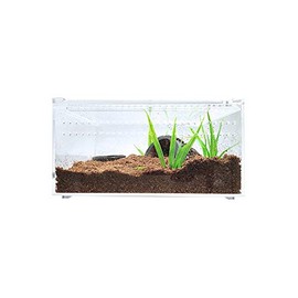 Herpcult Magnetic Acrylic Mini-Flat Enclosure 8 x 6 x 4